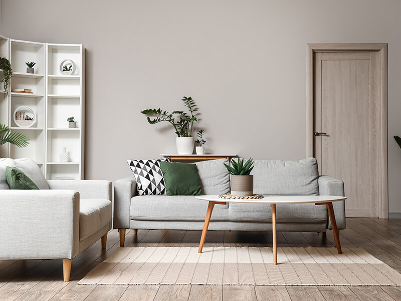 Interior of light living room